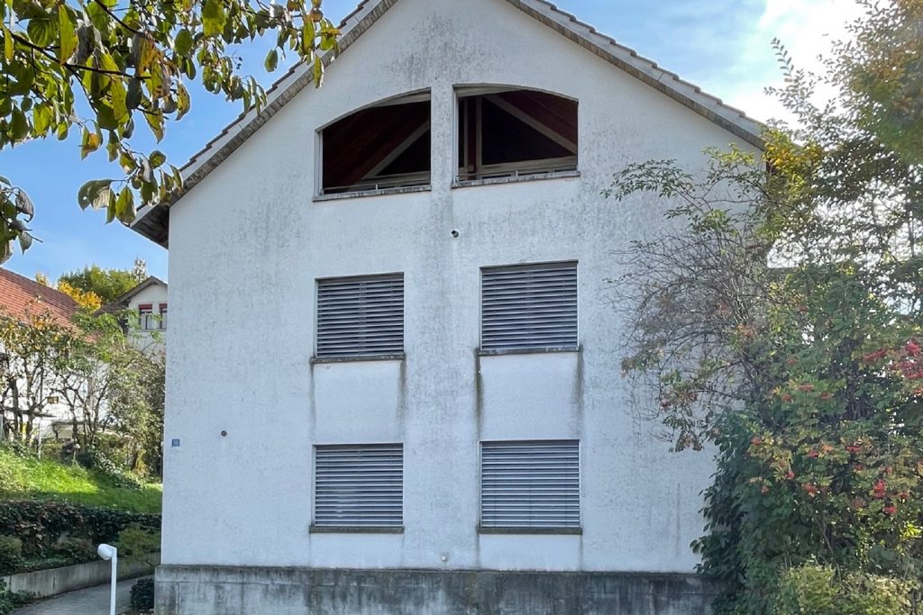Fassadenreinigung-Algen-Moos-frei-ohne-Geruest-Kirchdorf-AG-vorher-1